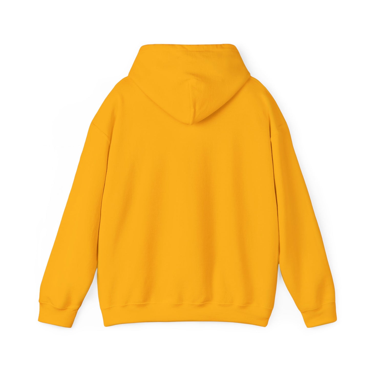 BOLD FAITH - Do the Work Hoodie