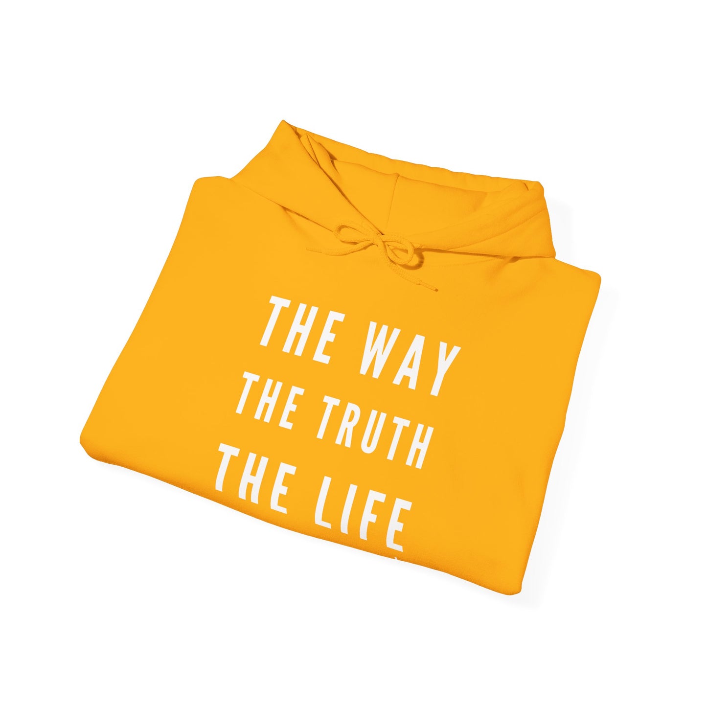 BOLD FAITH - Way/Truth/Life Hoodie